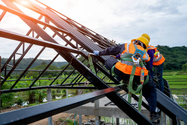 Best Roof Gutter Cleaning  in Winsted, MN